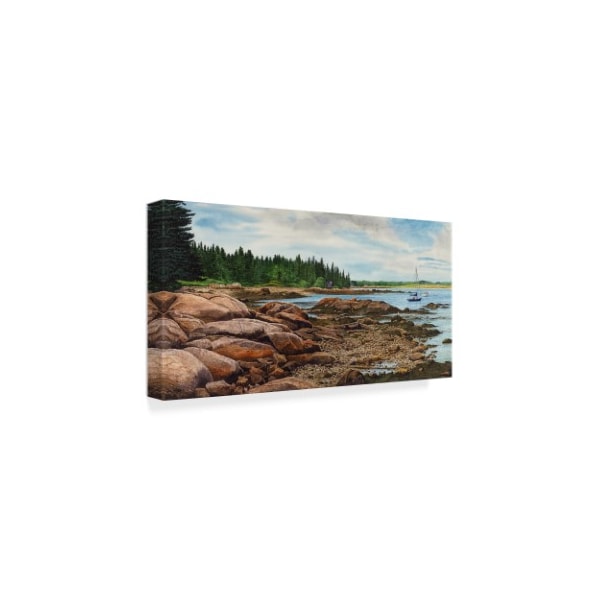 Michael Davidoff 'Spruce Head Peninsula' Canvas Art,16x32